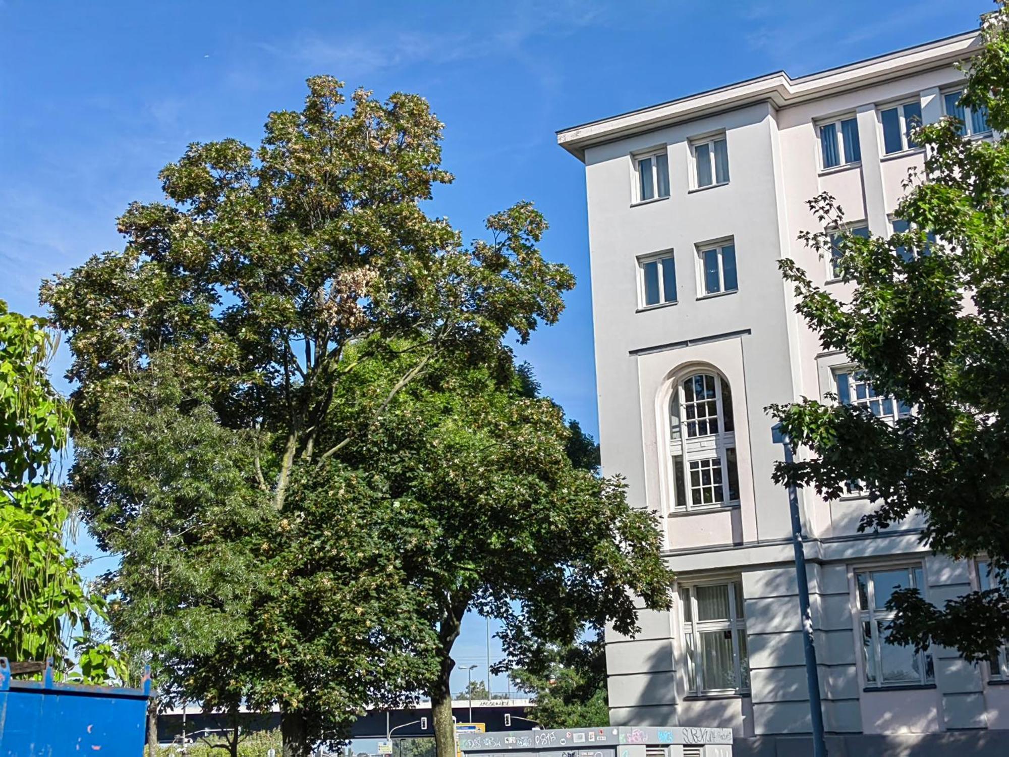 Epic Location Apartment Dusseldorf Exterior photo